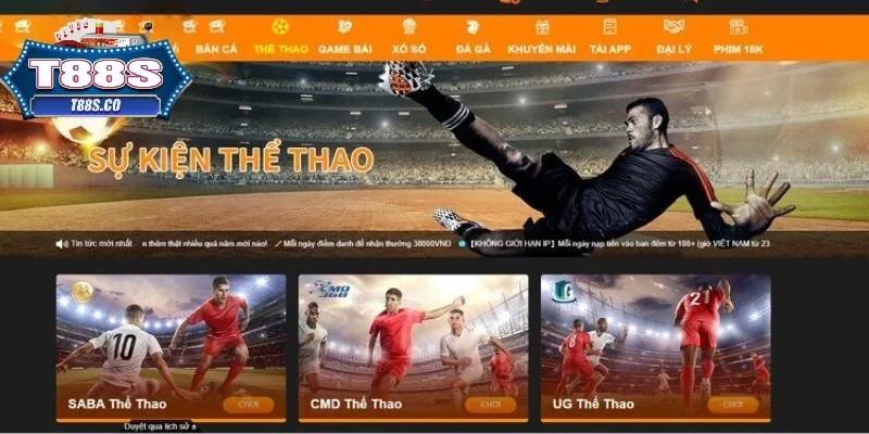 Chuyên mục cá cược Thể Thao đẳng cấp của T88