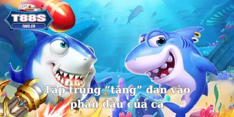 Tập trung xả đạn vào đỉnh đầu của các loại cá