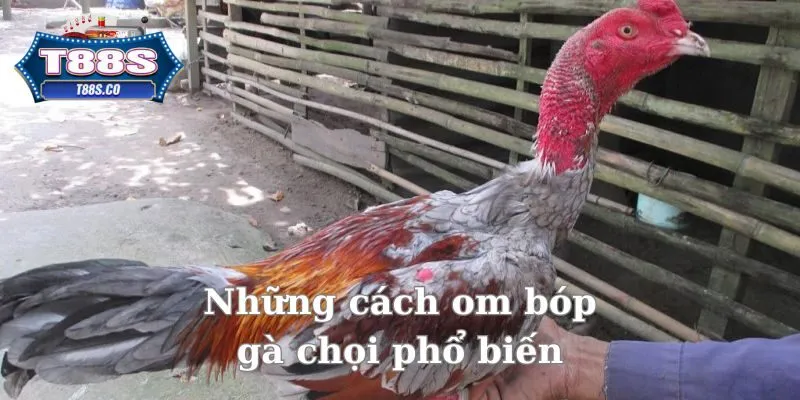 Có rất nhiều cách om bóp