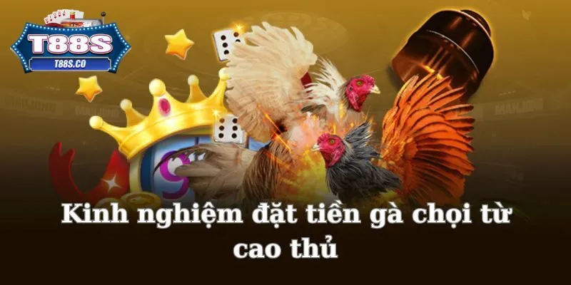 Kinh nghiệm đặt tiền gà chọi từ cao thủ