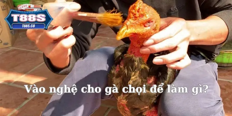 Tuyệt đối không lược bỏ bước ra nghệ